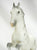 Lipizzan Stallion ~ 25th Anniversary Edition Lipizzaner Tour SR