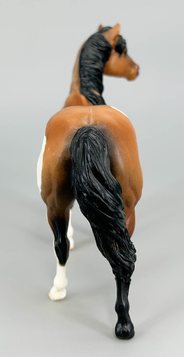 Quarter Horse Stallion, Custom Buckskin Pinto