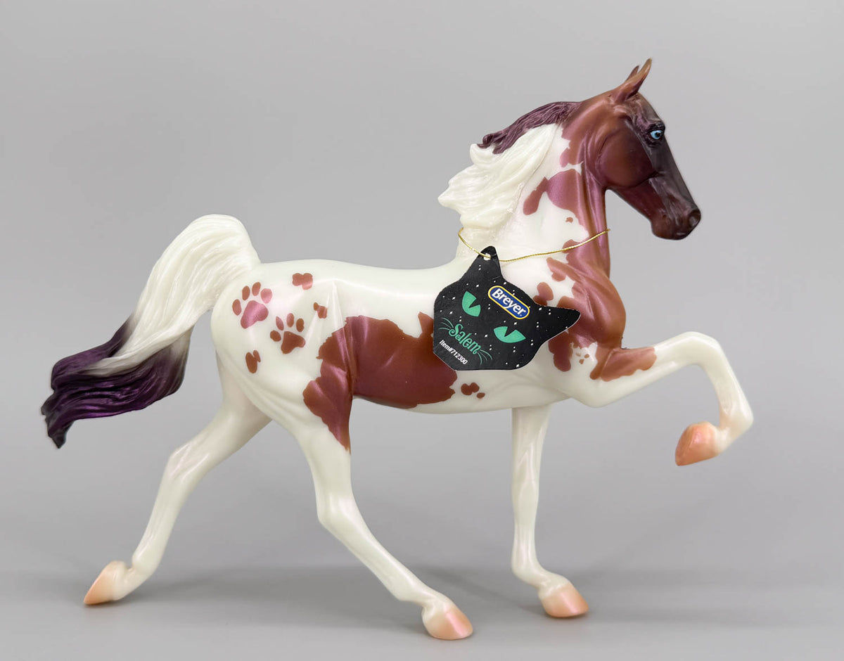 American Saddlebred ~ Salem - 2019 Halloween Classic Web Special