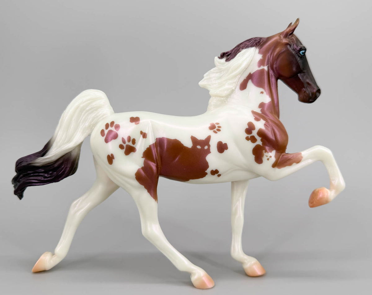 American Saddlebred ~ Salem - 2019 Halloween Classic Web Special