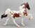 American Saddlebred ~ Salem - 2019 Halloween Classic Web Special