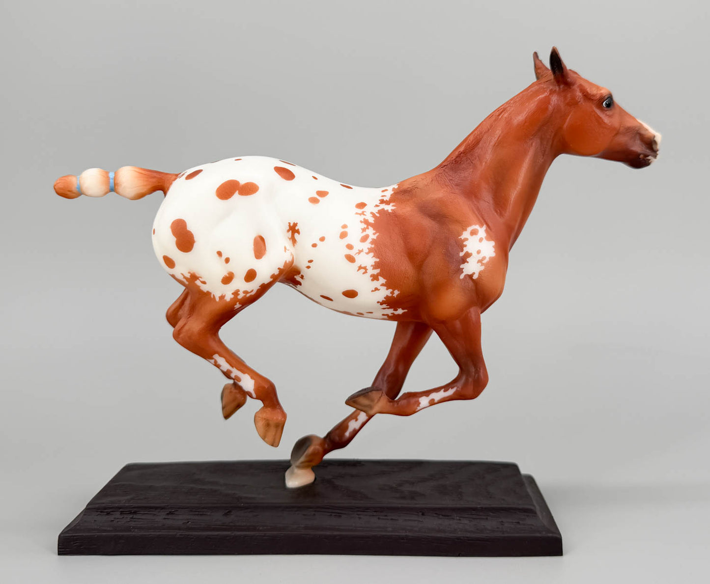 Polo Pony ~ Santino, Chestnut Appaloosa - Web Special