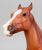 Polo Pony ~ Santino, Chestnut Appaloosa - Web Special