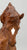 Connemara Mare ~ Cypress - Vintage Club