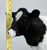 Cow, Holstein - Flocked (Brand Unknown) 1:9 scale