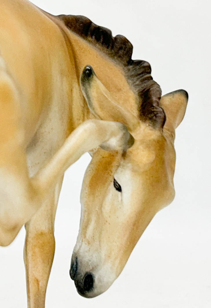 Dome Scratcher Onager Resin by Tibbi Searcher, Painted by Mindy Berg (AUCTION)