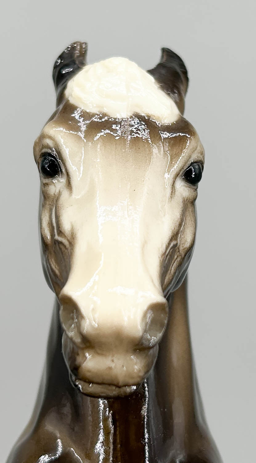 Fighting Stallion ~ King, Glossy Charcoal