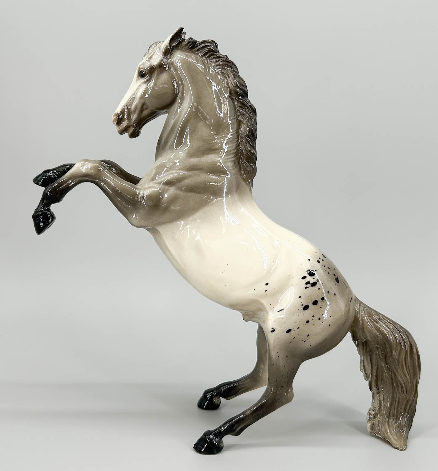 Fighting Stallion, Glossy Grey Appaloosa