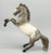 Fighting Stallion, Glossy Grey Appaloosa