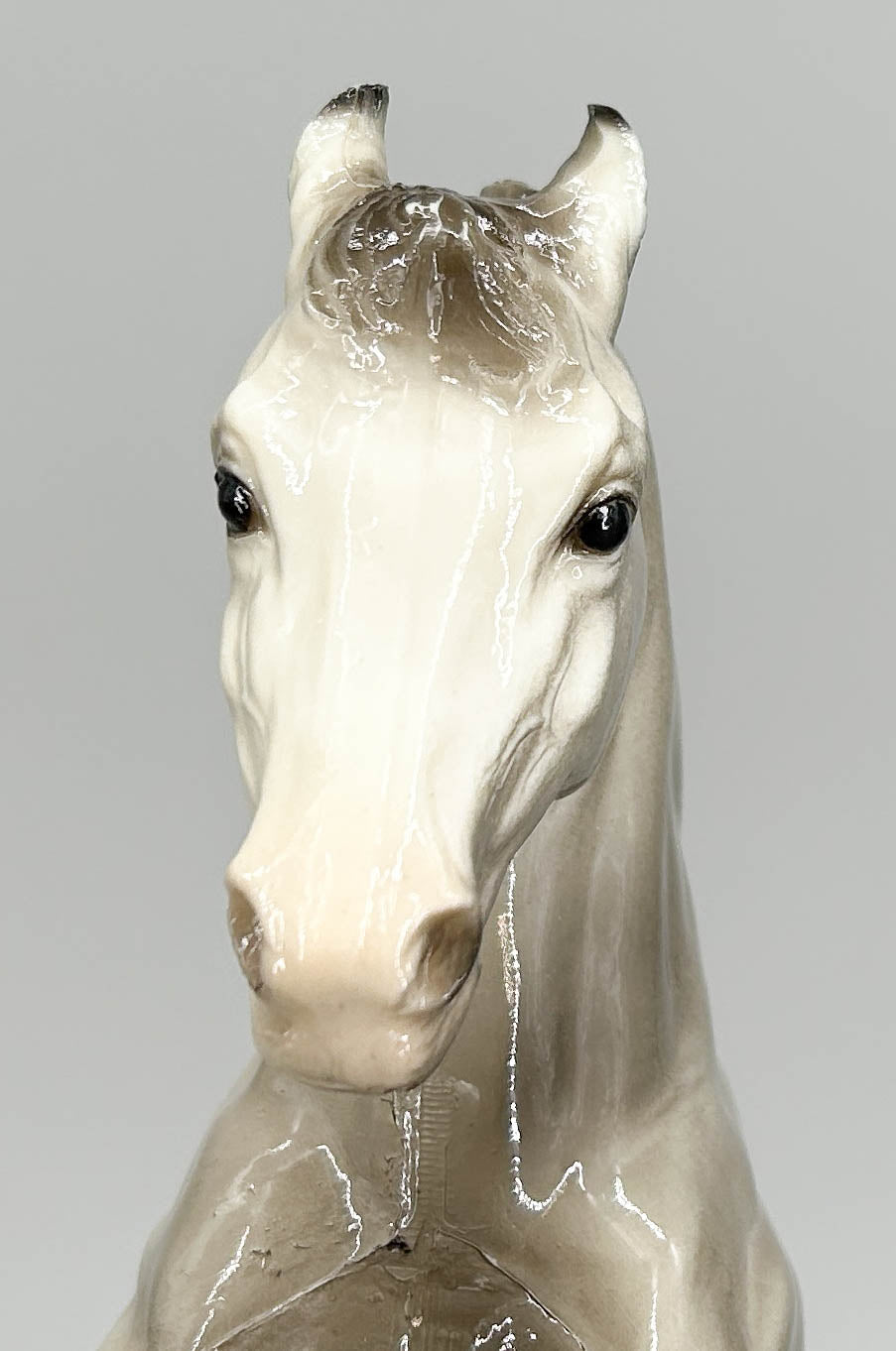 Fighting Stallion, Glossy Grey Appaloosa