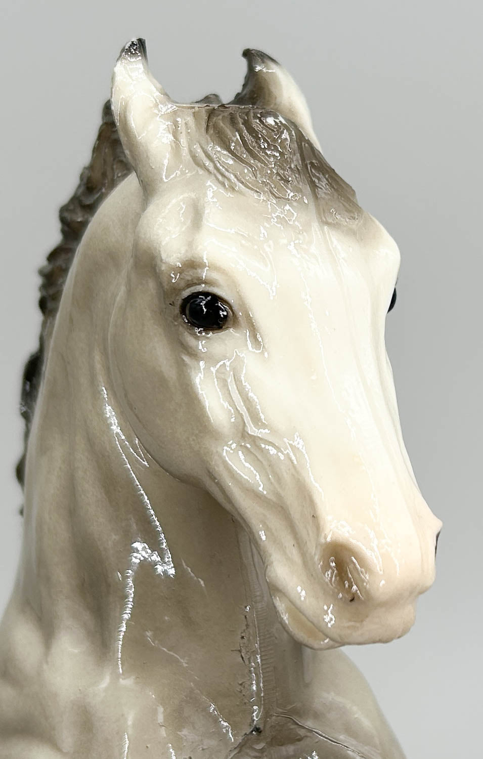 Fighting Stallion, Glossy Grey Appaloosa
