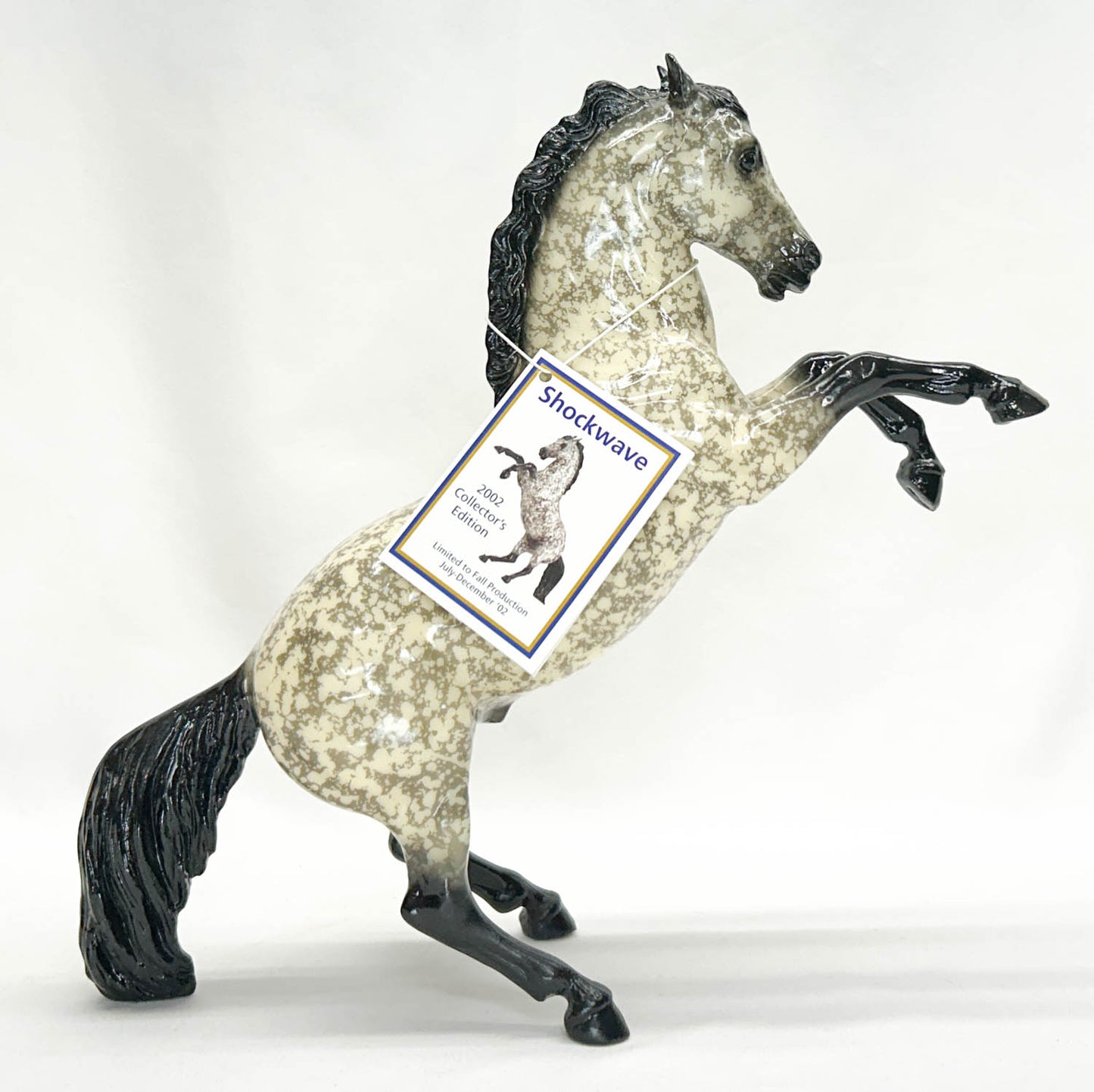 Fighting Stallion ~ Shockwave - 6-Month Release