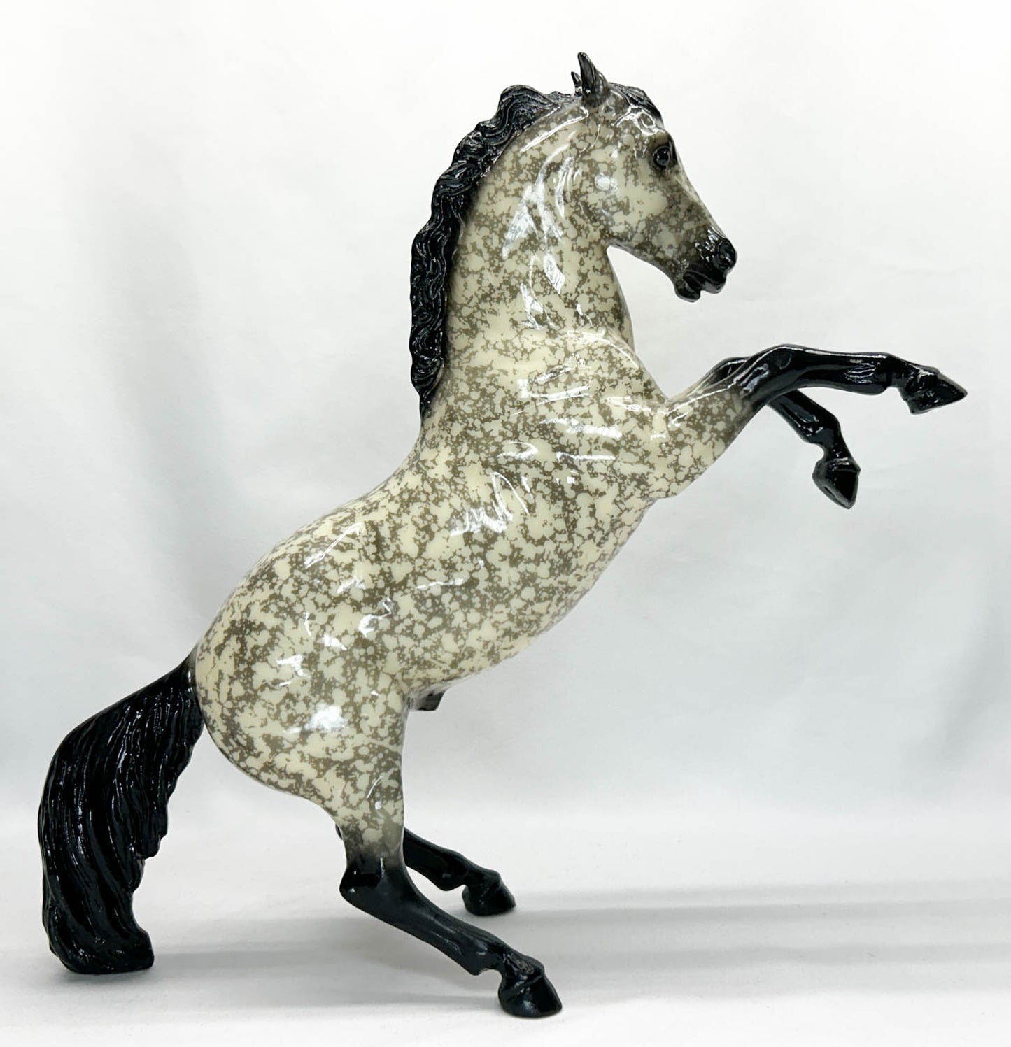 Fighting Stallion ~ Shockwave - 6-Month Release