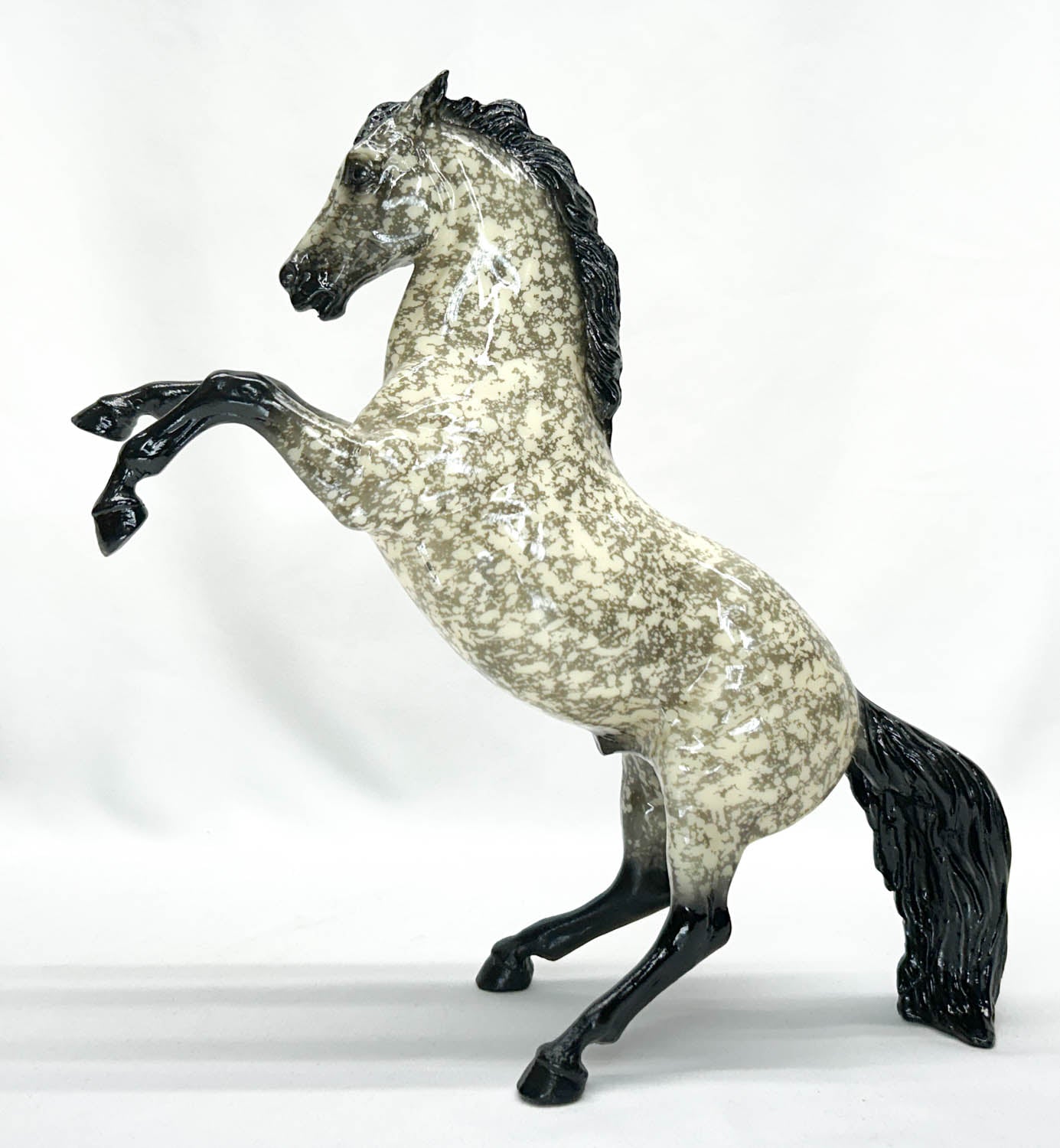 Fighting Stallion ~ Shockwave - 6-Month Release