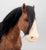 Clydesdale Stallion, Vintage Custom FLOCKY