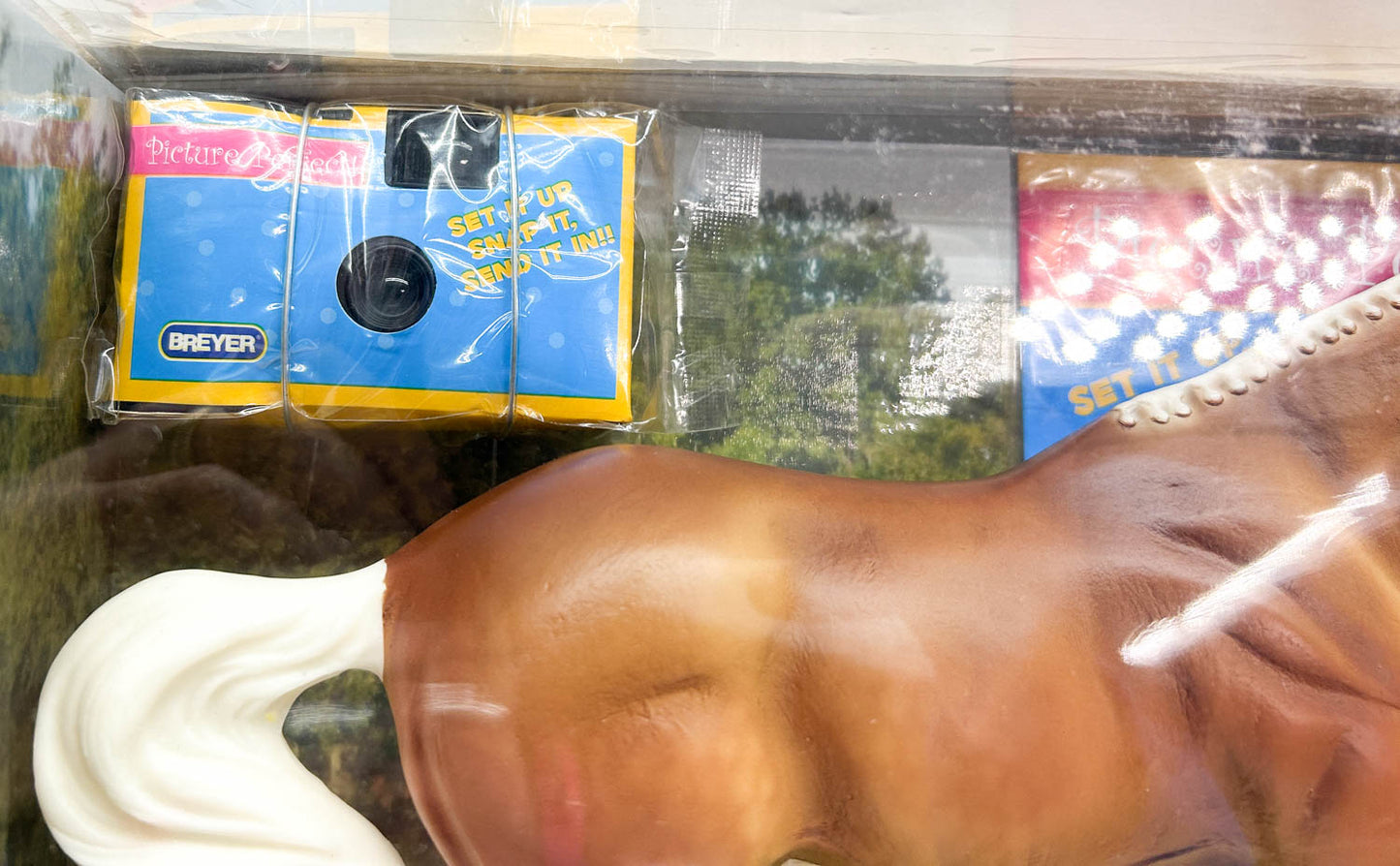 Gem Twist ~ Picture Perfect Thoroughbred - 6-Month Release