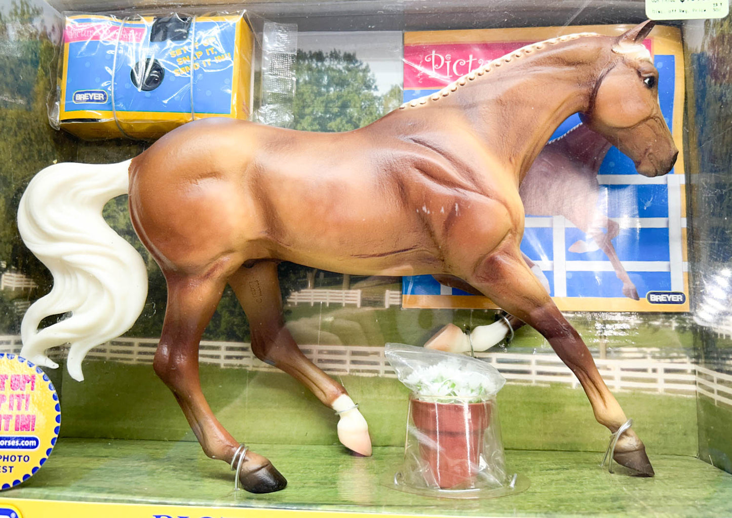 Gem Twist ~ Picture Perfect Thoroughbred - 6-Month Release