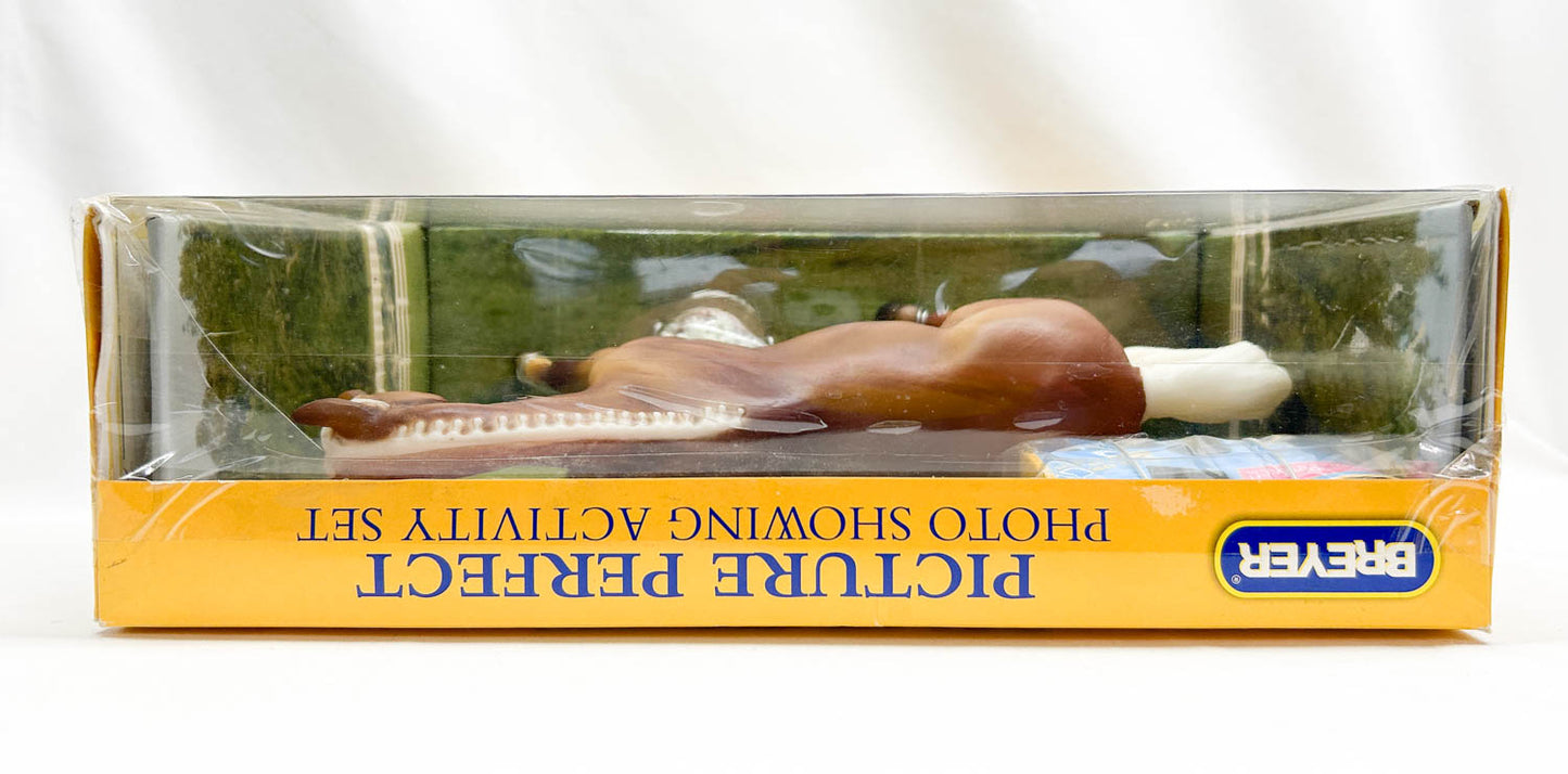 Gem Twist ~ Picture Perfect Thoroughbred - 6-Month Release