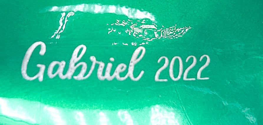 German Riding Pony ~ Gabriel, Green - 2022 Christmas Web Special + Pony Pouch