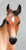 Gilen, Son of Giselle - Porcelain - Connoisseur Series - 350 Made