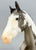 Giselle ~ Teton - 2019 Web Special