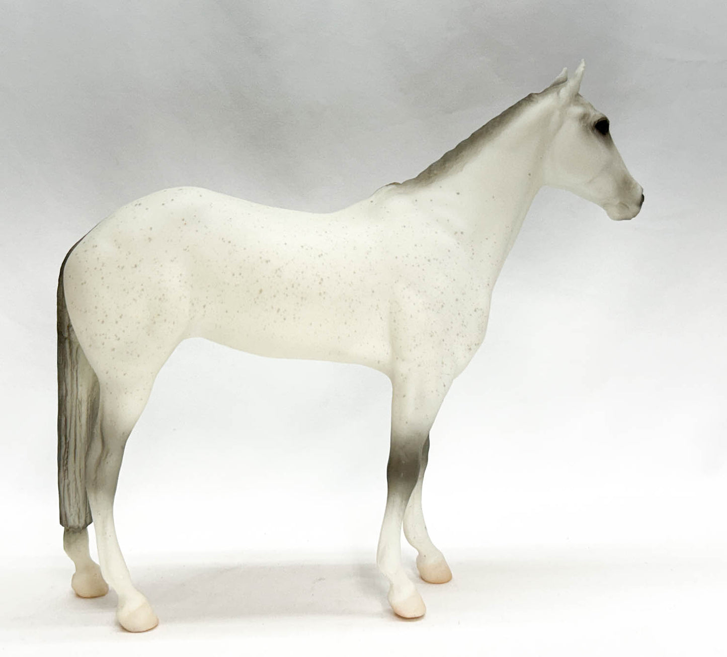 Halla, Fleabitten Grey - JC Penney SR