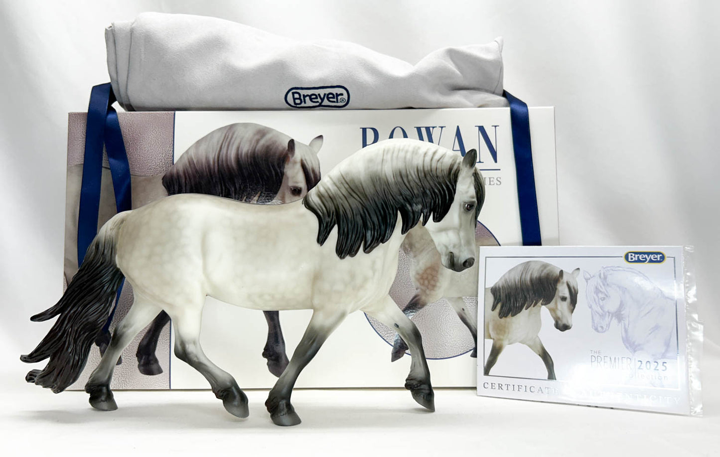 Highland Pony Stallion ~ Rowan - 2025 Premier Club