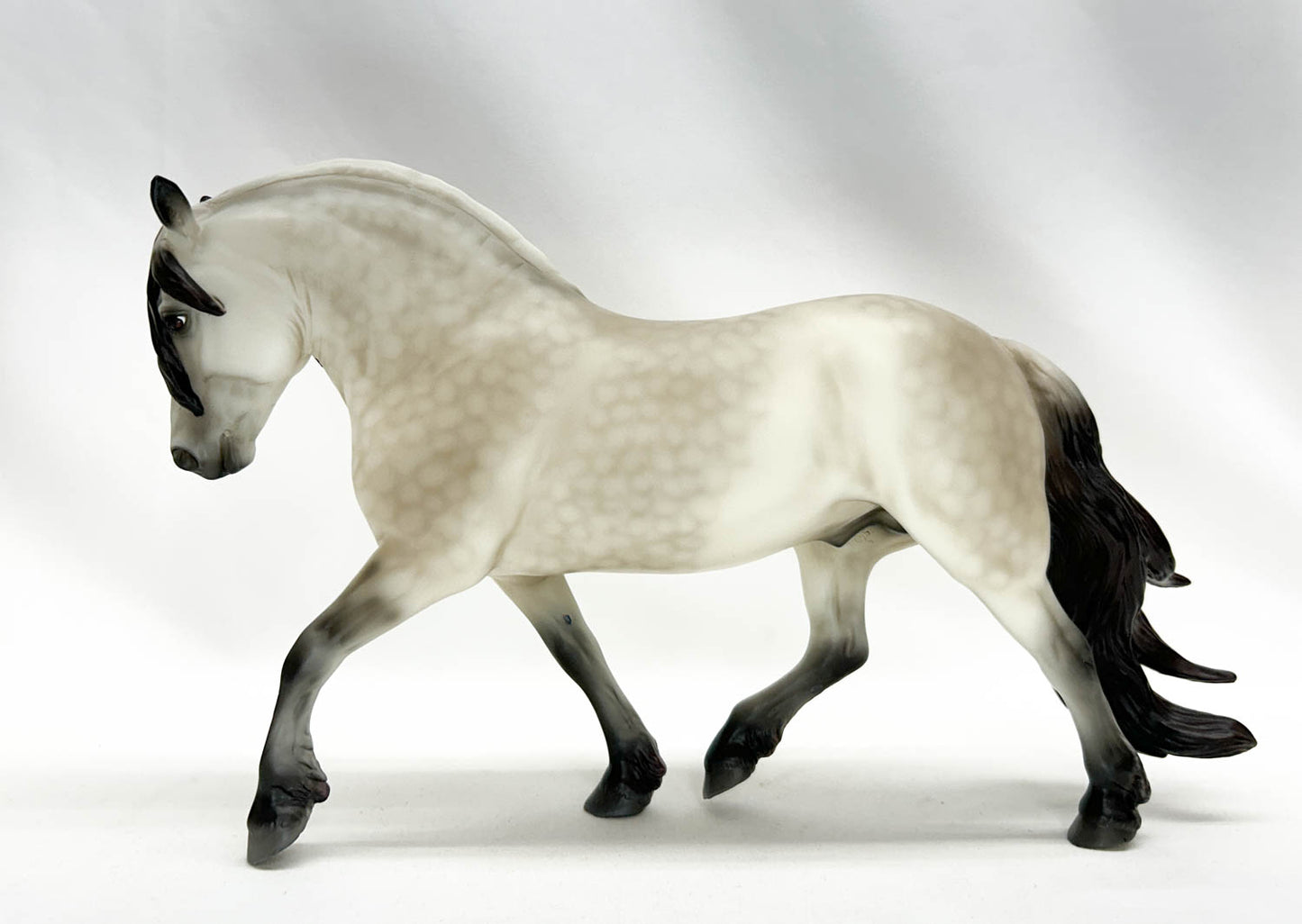 Highland Pony Stallion ~ Rowan - 2025 Premier Club