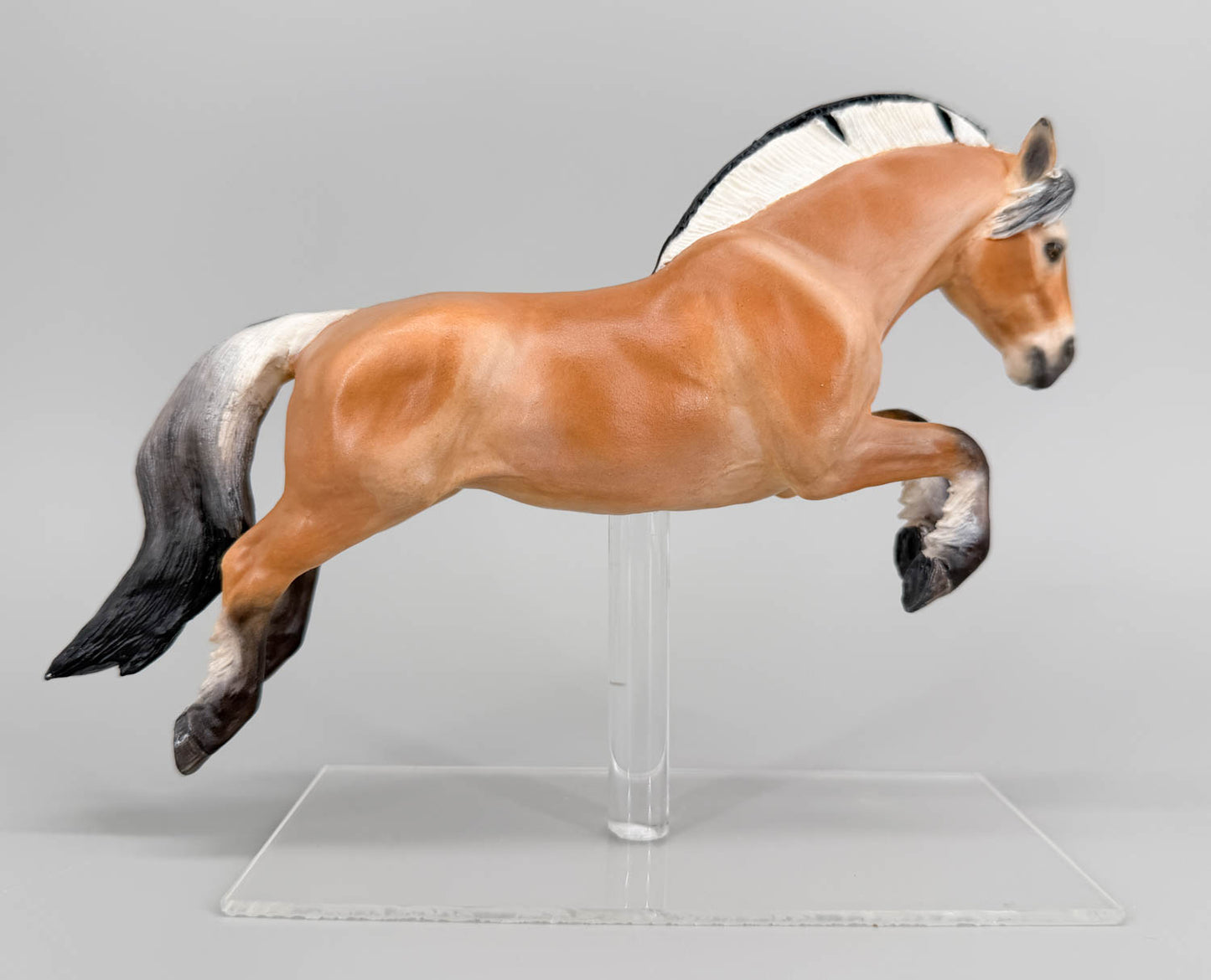 Jumping Fjord Mare - Drastic Custom from Cl Mustang Mare