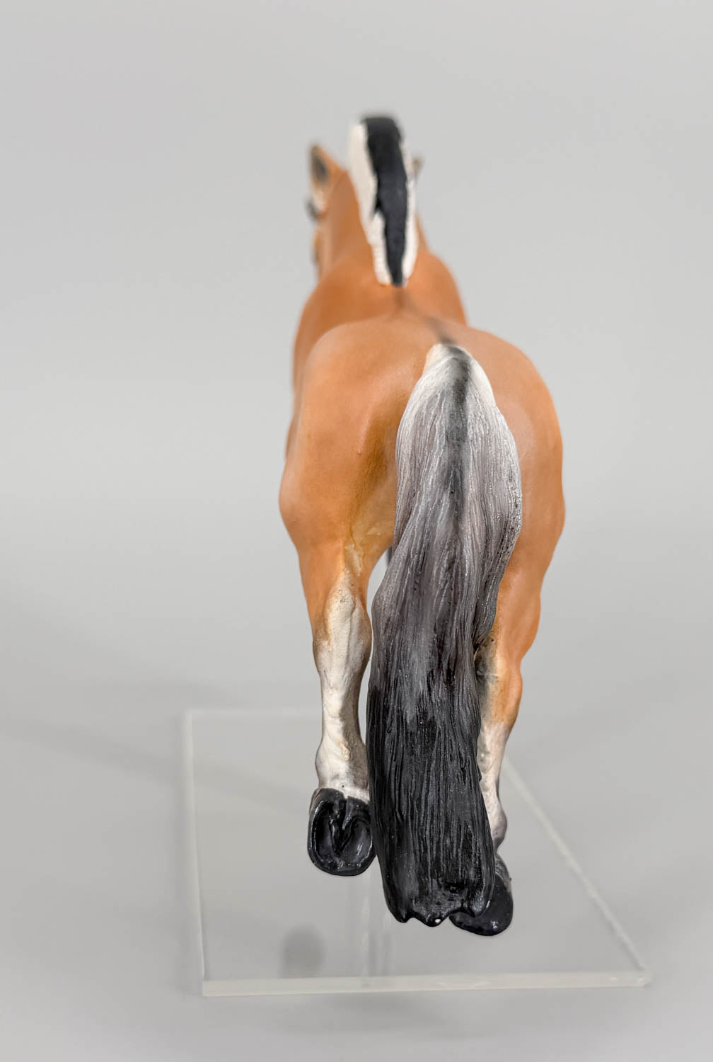 Jumping Fjord Mare - Drastic Custom from Cl Mustang Mare