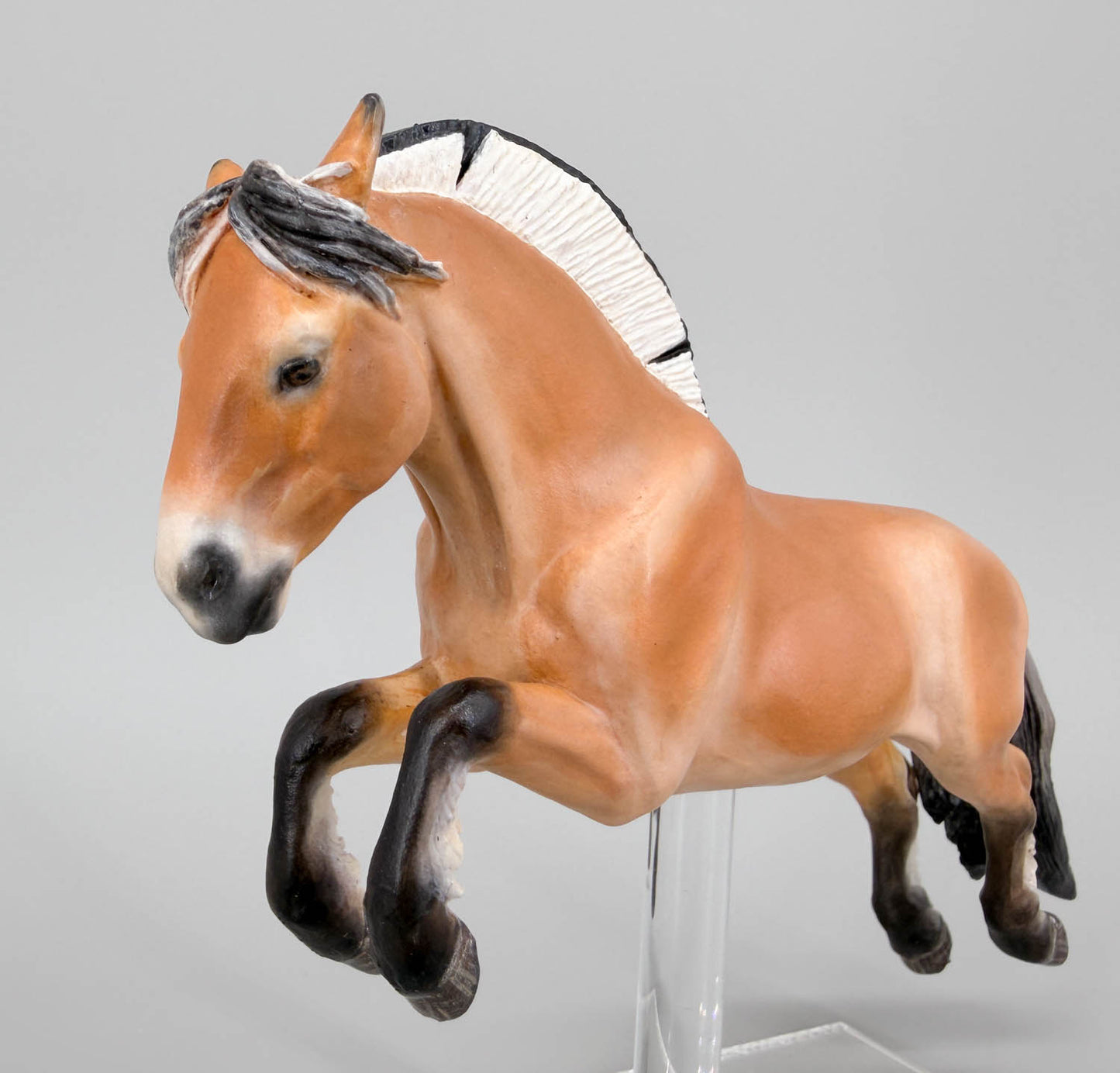 Jumping Fjord Mare - Drastic Custom from Cl Mustang Mare
