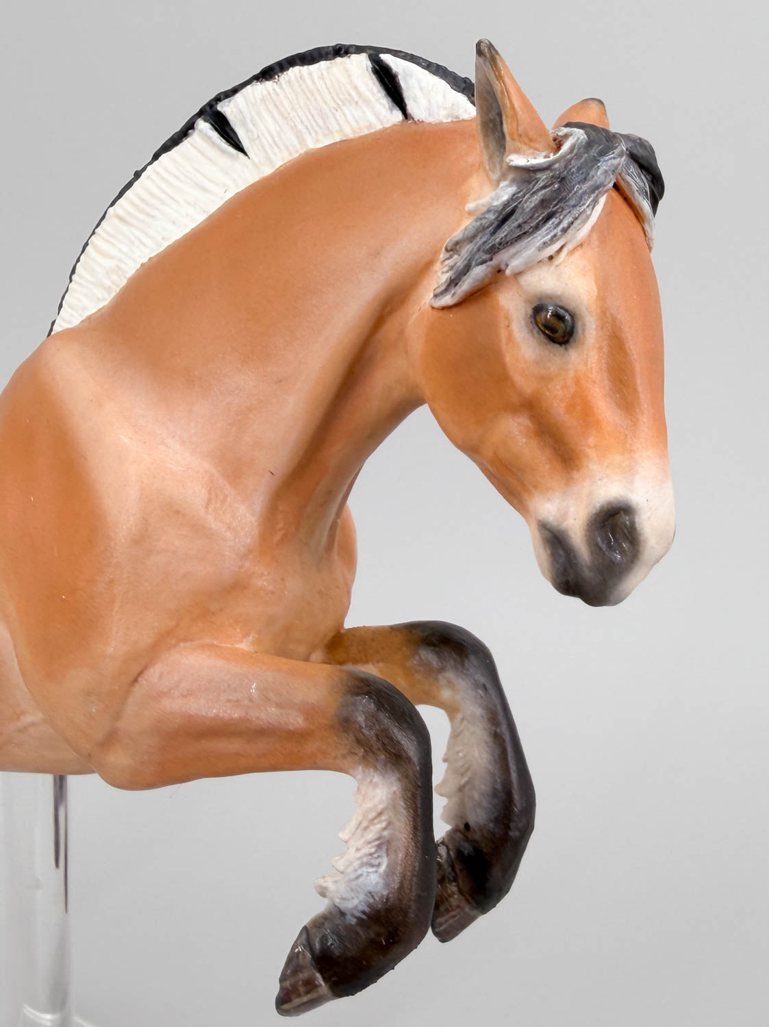 Jumping Fjord Mare - Drastic Custom from Cl Mustang Mare