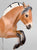 Jumping Fjord Mare - Drastic Custom from Cl Mustang Mare