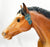 Jumping Horse, Bay with 4-Sock Variation and BLUE RIBBON STICKER