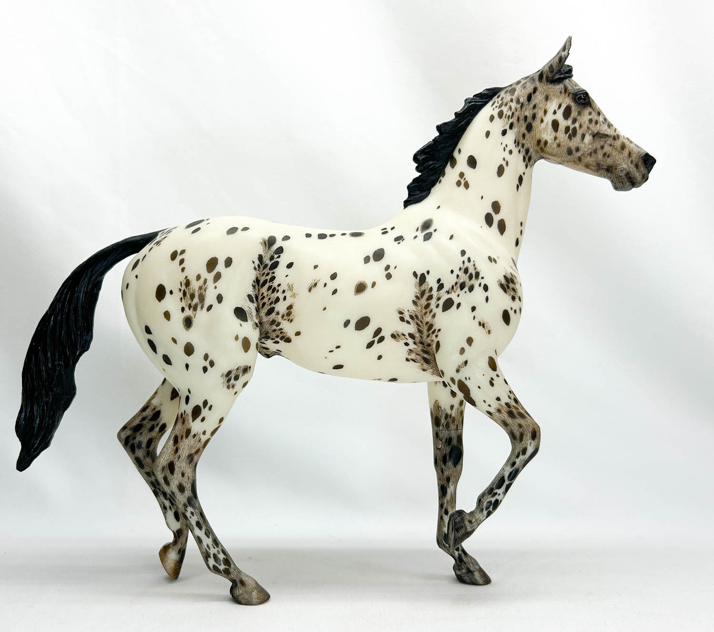 Lonesome Glory, Dark Bay Leopard Appaloosa - Custom Etchie by Lindy Pinkham