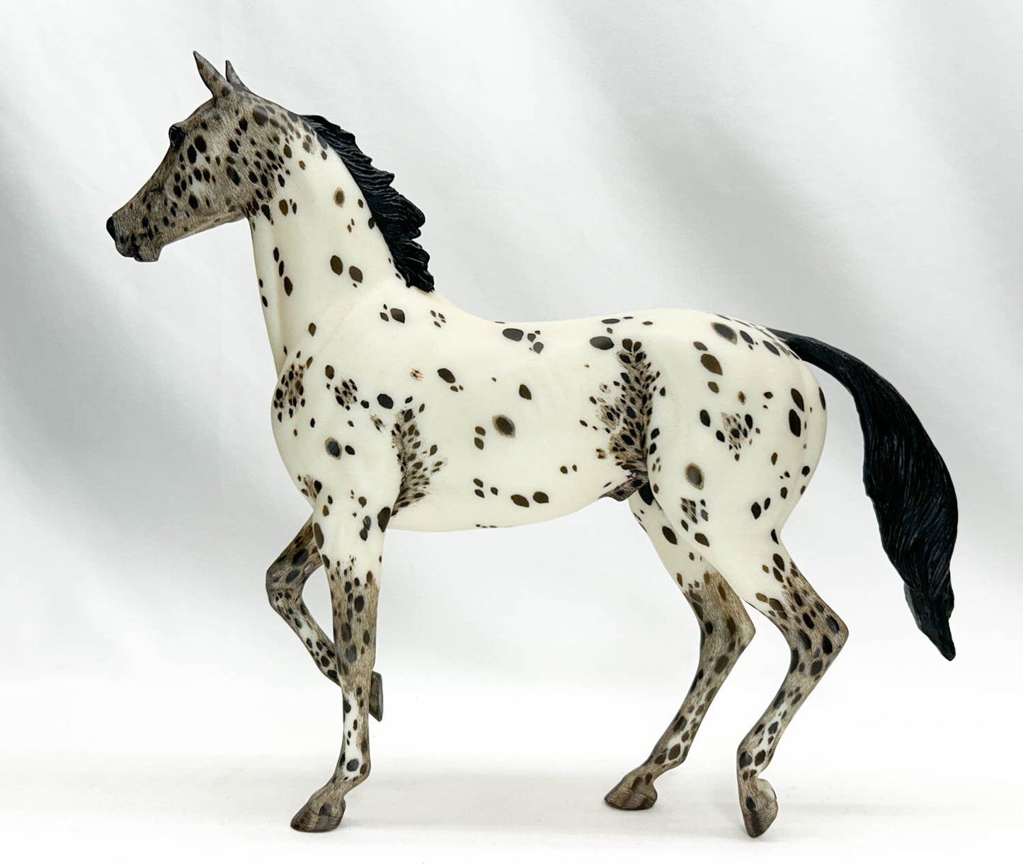 Lonesome Glory, Dark Bay Leopard Appaloosa - Custom Etchie by Lindy Pinkham
