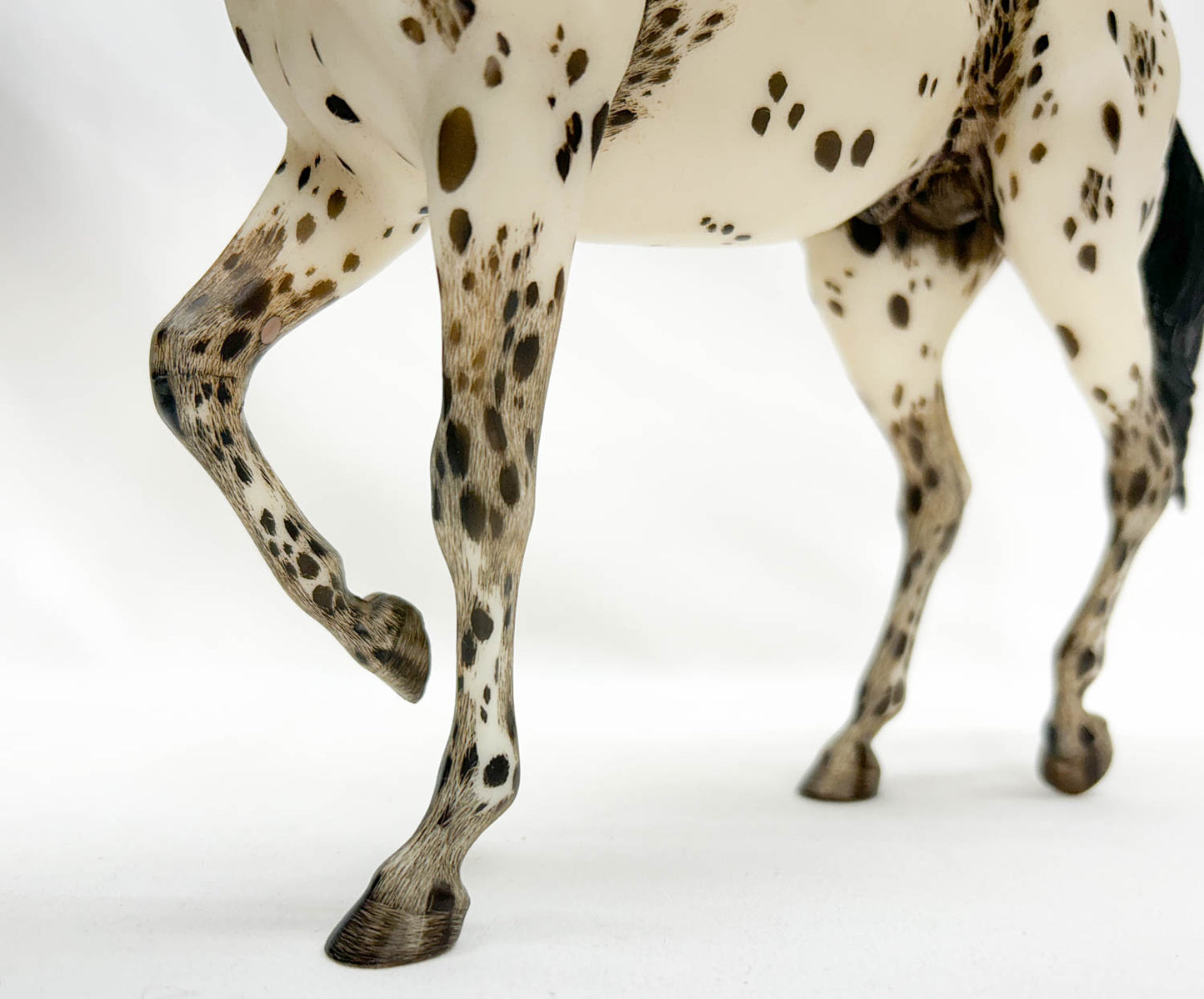 Lonesome Glory, Dark Bay Leopard Appaloosa - Custom Etchie by Lindy Pinkham
