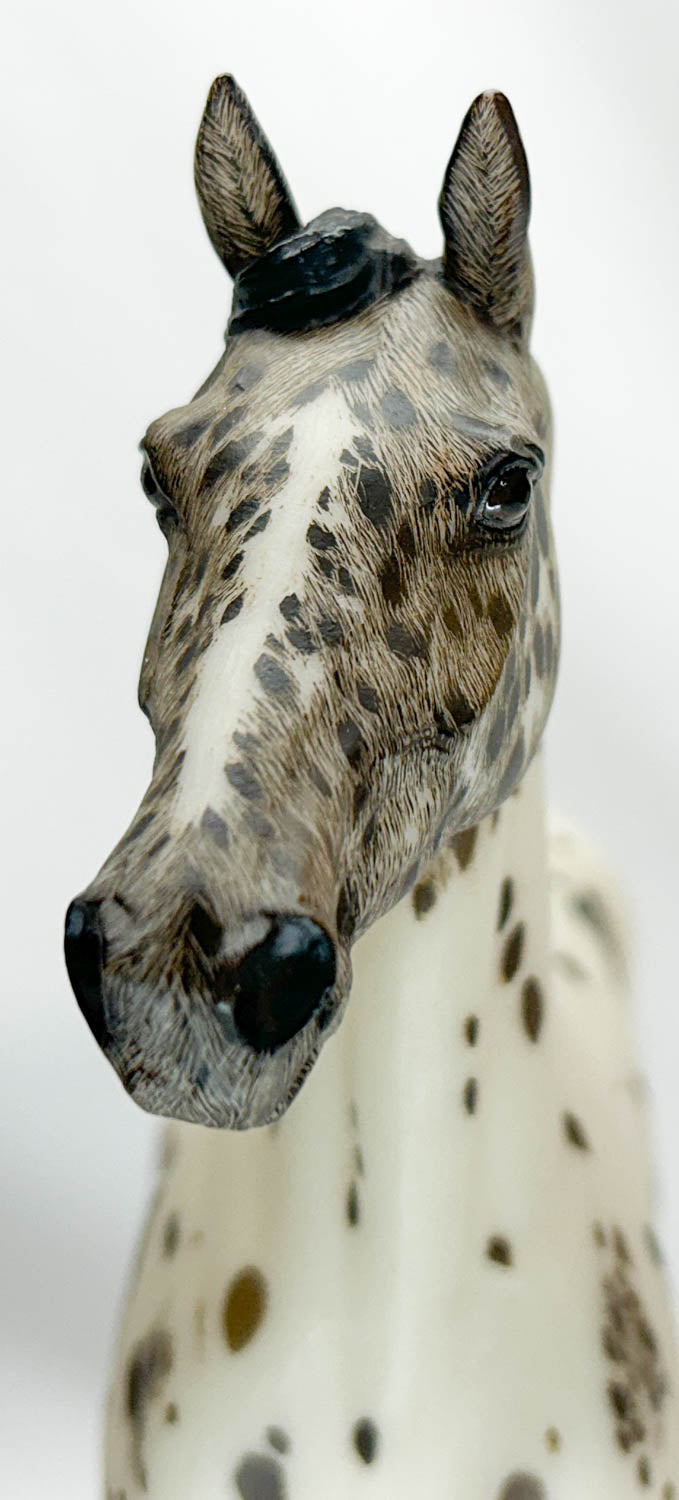 Lonesome Glory, Dark Bay Leopard Appaloosa - Custom Etchie by Lindy Pinkham