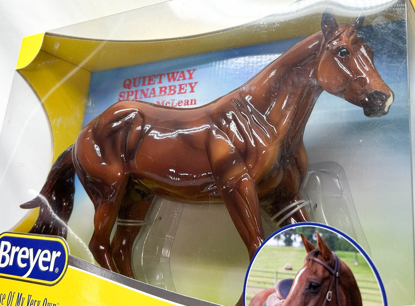 Loping Quarter Horse ~ Guy McLean's Quietway Spinabbey - GLOSSY