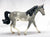 Missouri Fox Trotter, Grey Sabino Pinto - Custom Etchie by Lindy Pinkham
