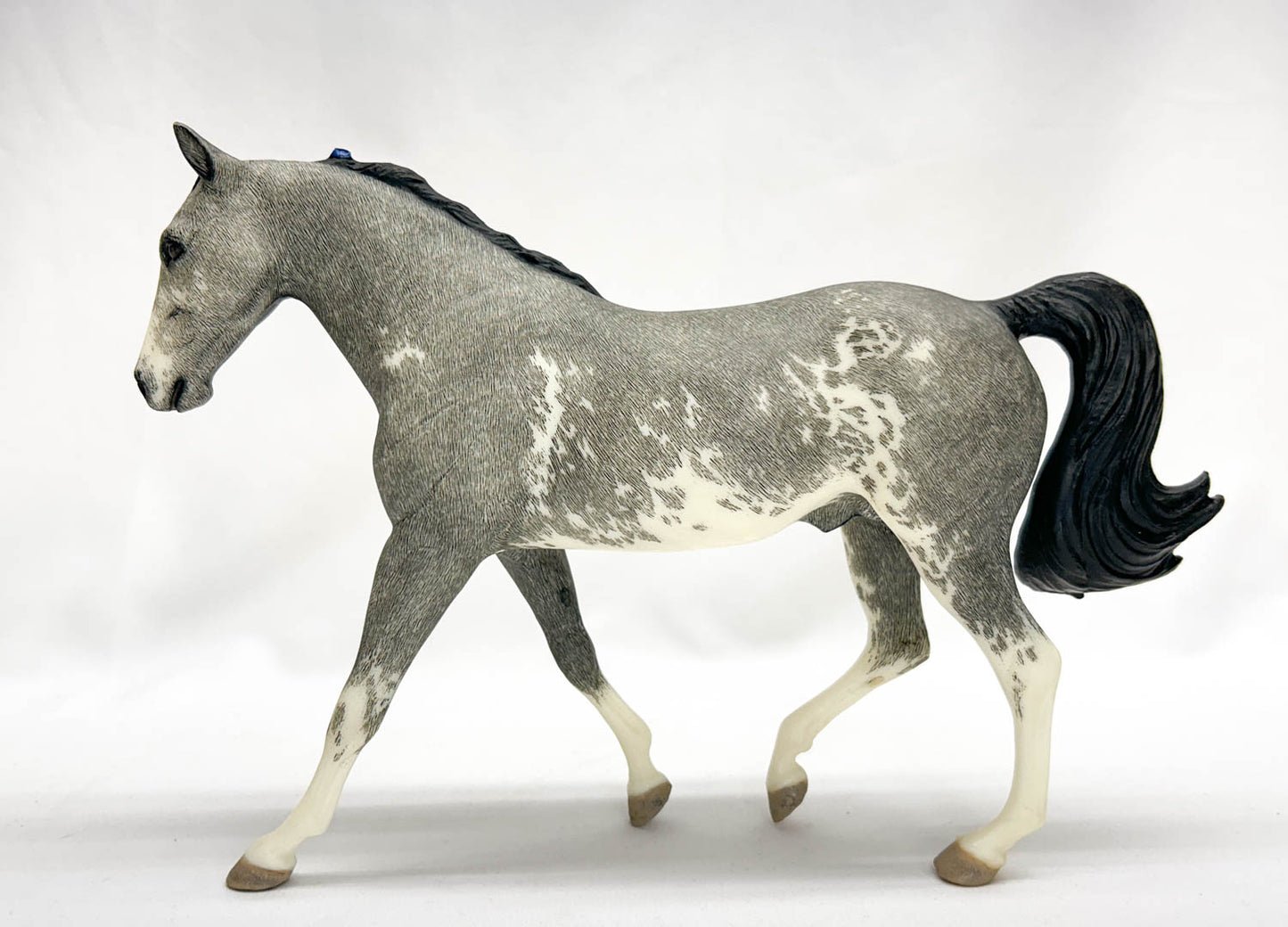 Missouri Fox Trotter, Grey Sabino Pinto - Custom Etchie by Lindy Pinkham