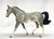Missouri Fox Trotter, Grey Sabino Pinto - Custom Etchie by Lindy Pinkham