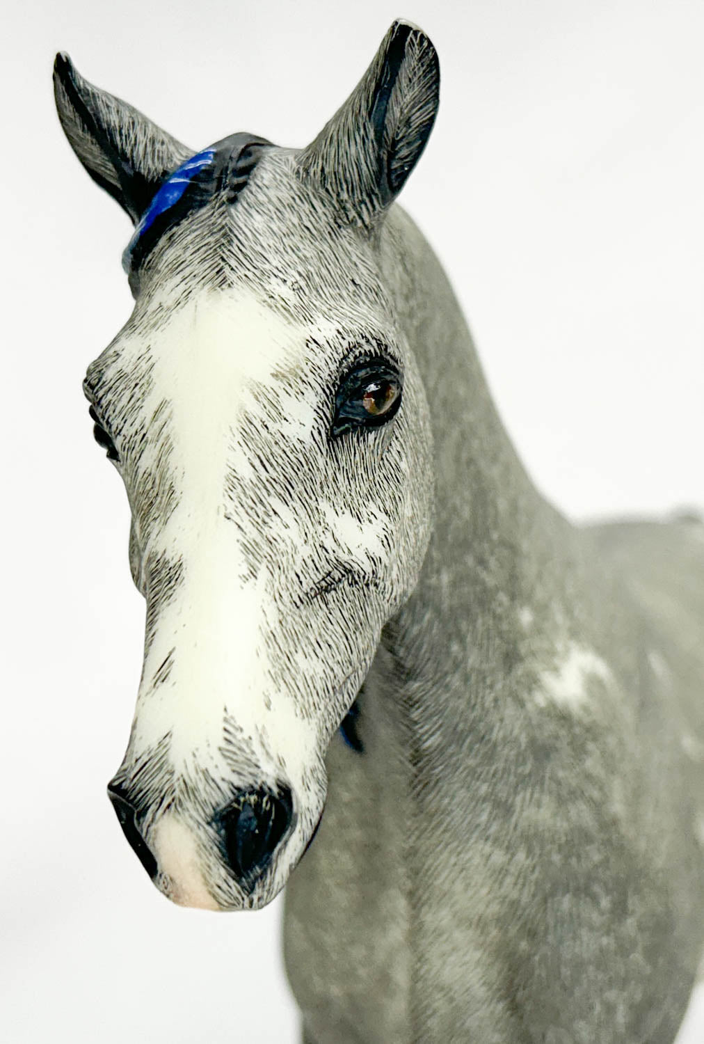 Missouri Fox Trotter, Grey Sabino Pinto - Custom Etchie by Lindy Pinkham