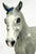 Missouri Fox Trotter, Grey Sabino Pinto - Custom Etchie by Lindy Pinkham