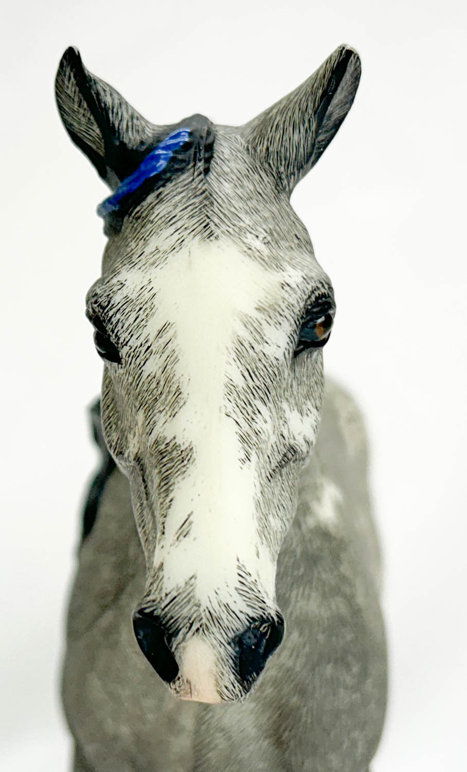 Missouri Fox Trotter, Grey Sabino Pinto - Custom Etchie by Lindy Pinkham