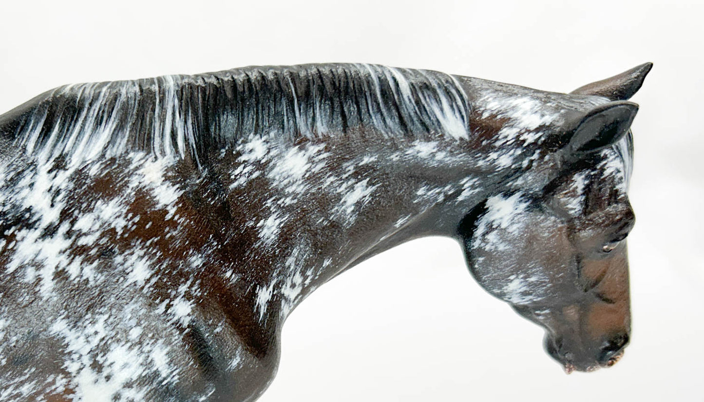 Monte Stock Horse Gelding Resin, Sculpted and Painted by Ann Harris