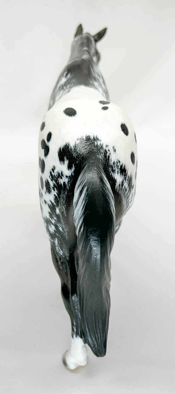 Monte Stock Horse Gelding Resin, Sculpted and Painted by Ann Harris
