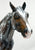 Monte Stock Horse Gelding Resin, Sculpted and Painted by Ann Harris