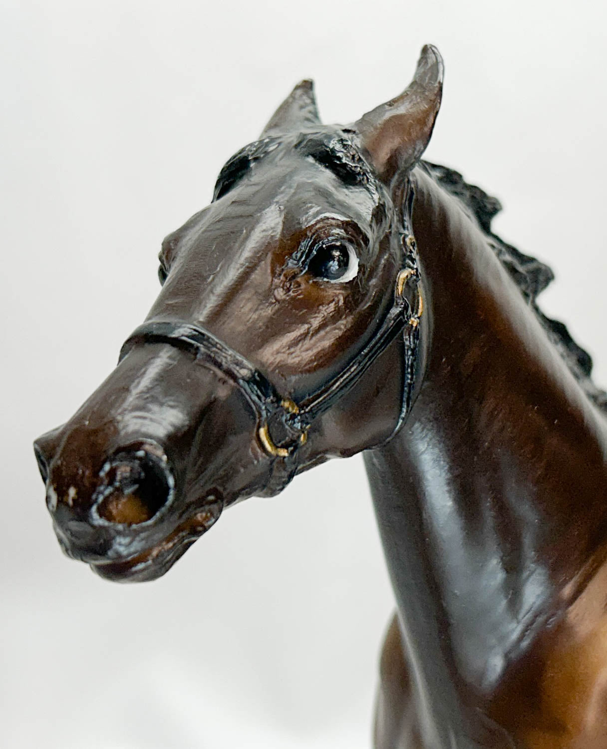 Pacer, Bay (Liver Chestnut) with Eye Whites and Bonus Pony Pouch