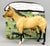 Pony Pouch, Artisan Made - Donkeys and Mules Pattern 11" x 9"